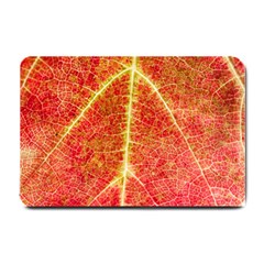 Plant Vineyard Wine Sunlight Texture Leaf Pattern Green Red Color Macro Autumn Circle Vein Sunny  Small Doormat  by Vaneshart