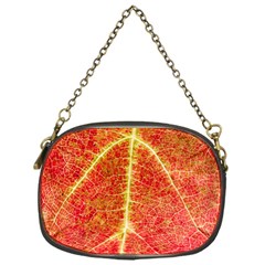 Plant Vineyard Wine Sunlight Texture Leaf Pattern Green Red Color Macro Autumn Circle Vein Sunny  Chain Purse (one Side) by Vaneshart