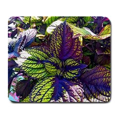 Dark Coleus Large Mousepads by Riverwoman