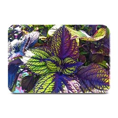 Dark Coleus Plate Mats by Riverwoman