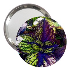 Dark Coleus 3  Handbag Mirrors by Riverwoman