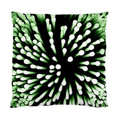 Bacteria Bacterial Species Imitation Standard Cushion Case (two Sides) by HermanTelo