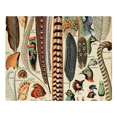 Feathers Birds Vintage Art Double Sided Flano Blanket (large) 