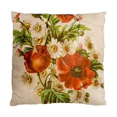 Poppy 2507631 960 720 Standard Cushion Case (two Sides) by vintage2030