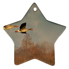 Goose 4002044 960 720 Ornament (star) by vintage2030