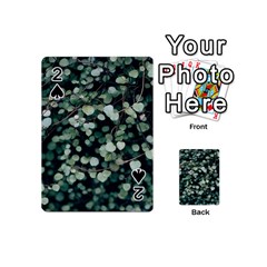 Plant 690078 960 720 Playing Cards 54 Designs (mini) by vintage2030