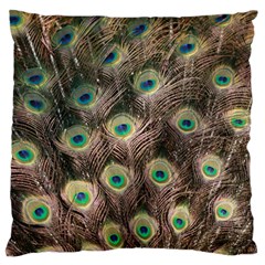 Bird 4099645 960 720 Large Flano Cushion Case (One Side)