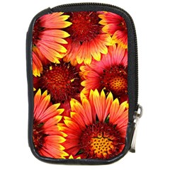 Background 1655938 960 720 Compact Camera Leather Case