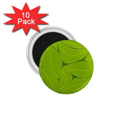 Pattern Leaves Walnut Nature 1 75  Magnets (10 Pack) 