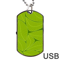 Pattern Leaves Walnut Nature Dog Tag Usb Flash (two Sides)