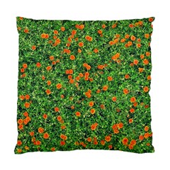 Carnations Flowers Seamless Standard Cushion Case (one Side) by Vaneshart