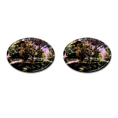 Hot Day In Dallas 3 Cufflinks (oval) by bestdesignintheworld