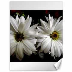 Daisies Canvas 36  X 48  by bestdesignintheworld