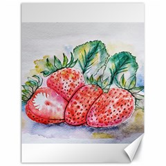 Strawberry Watercolor Figure Canvas 18  X 24  by Wegoenart