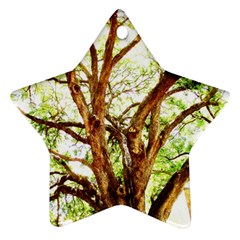 Hot Day In Dallas 14 Ornament (star) by bestdesignintheworld