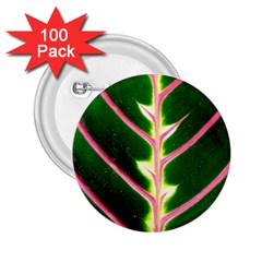 Exotic Green Leaf 2 25  Buttons (100 Pack) 