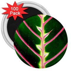 Exotic Green Leaf 3  Magnets (100 Pack) by Vaneshart