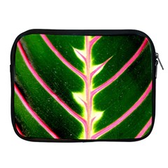 Exotic Green Leaf Apple Ipad 2/3/4 Zipper Cases