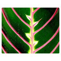 Exotic Green Leaf Double Sided Flano Blanket (medium)  by Vaneshart