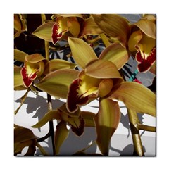 Orchids  1 1 Tile Coaster by bestdesignintheworld