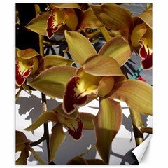 Orchids  1 1 Canvas 20  X 24  by bestdesignintheworld