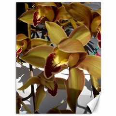 Orchids  1 1 Canvas 36  X 48  by bestdesignintheworld