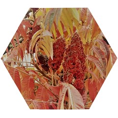 Autumn Colors Leaf Leaves Brown Red Wooden Puzzle Hexagon by yoursparklingshop