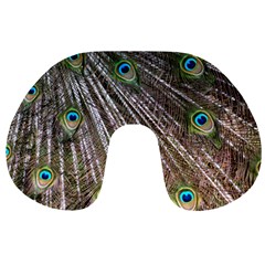 Peacock Feathers Pattern Colorful Travel Neck Pillow