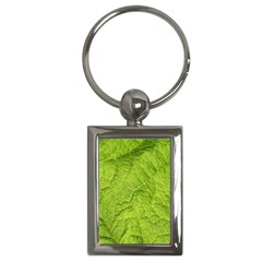 Structure Nature Texture Pattern Key Chain (rectangle)