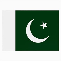 Flag Of Pakistan Large Glasses Cloth by abbeyz71