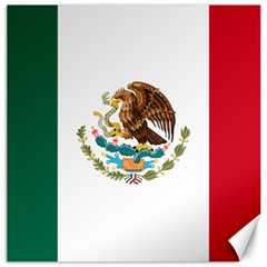 Flag Of Mexico Canvas 20  X 20  by abbeyz71