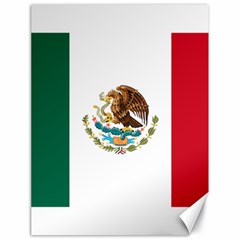 Flag Of Mexico Canvas 18  X 24  by abbeyz71