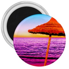 Pop Art Beach Umbrella  3  Magnets by essentialimage