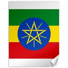 Current Flag Of Ethiopia Canvas 12  X 16  by abbeyz71