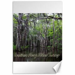 Louisiana Honey Island Swamp Scene Canvas 12  X 18  (unframed) by DesignsbyDana