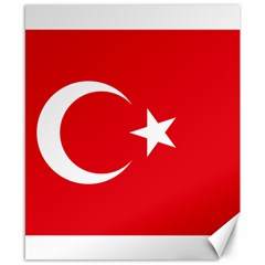 Flag Of Turkey Canvas 8  X 10  by abbeyz71