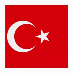 Vertical Flag Of Turkey Medium Glasses Cloth (2 Sides) by abbeyz71