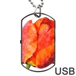 Tulip watercolor Red and black stripes Dog Tag USB Flash (Two Sides) Front