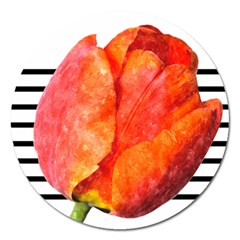 Tulip Watercolor Red And Black Stripes Magnet 5  (round)