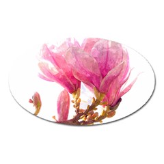 Magnolia Roze Aquarel Watercolor Oval Magnet by picsaspassion