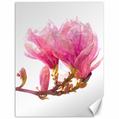 Magnolia Roze Aquarel Watercolor Canvas 12  X 16  by picsaspassion