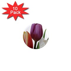 Tulips Spring Bouquet 1  Mini Magnet (10 Pack)  by picsaspassion