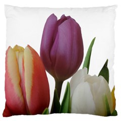 Tulips Spring Bouquet Standard Flano Cushion Case (one Side)