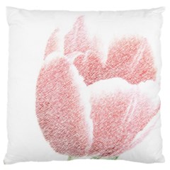 Tulip Red White Pencil Drawing Large Cushion Case (one Side) by picsaspassion
