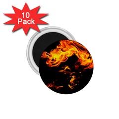 Can Walk On Fire, Black Background 1 75  Magnets (10 Pack)  by picsaspassion