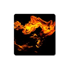 Can Walk On Fire, Black Background Square Magnet by picsaspassion