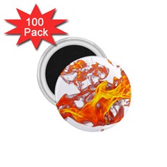 Can Walk On Volcano Fire, White Background 1 75  Magnets (100 Pack)  by picsaspassion