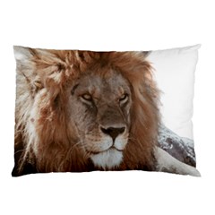 Lion s Focus Pillow Case (two Sides) by myuique