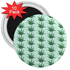 Aloe Plants Pattern Scrapbook 3  Magnets (10 Pack) 