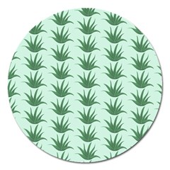 Aloe Plants Pattern Scrapbook Magnet 5  (round) by Alisyart